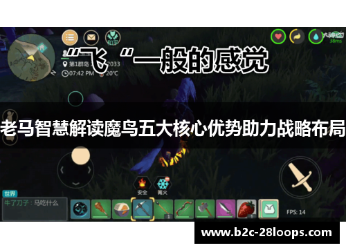 老马智慧解读魔鸟五大核心优势助力战略布局