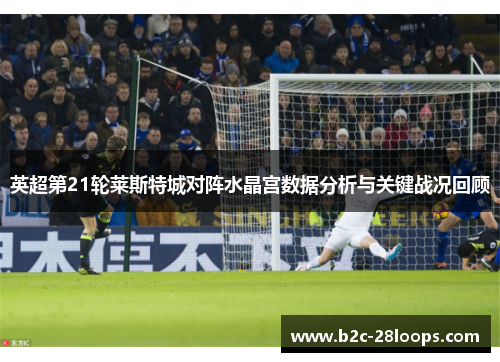 英超第21轮莱斯特城对阵水晶宫数据分析与关键战况回顾 英超第21轮莱斯特城对阵水晶宫数据分析与关键战况回顾