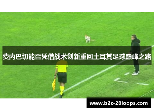 费内巴切能否凭借战术创新重回土耳其足球巅峰之路 费内巴切能否凭借战术创新重回土耳其足球巅峰之路