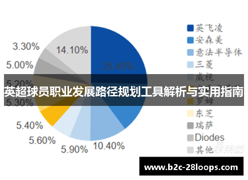 英超球员职业发展路径规划工具解析与实用指南 英超球员职业发展路径规划工具解析与实用指南