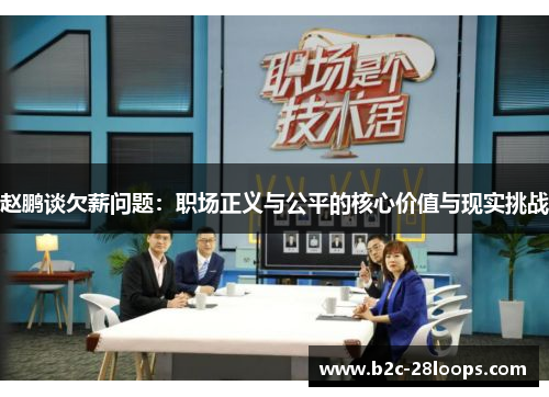 赵鹏谈欠薪问题：职场正义与公平的核心价值与现实挑战